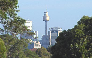 View of the City